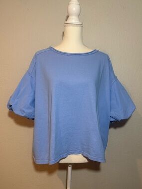 FREE PEOPLE/We The Free - BLUE VISTA BLOSSOM TEE- Sky Blue Oversized Crop Sz.XS